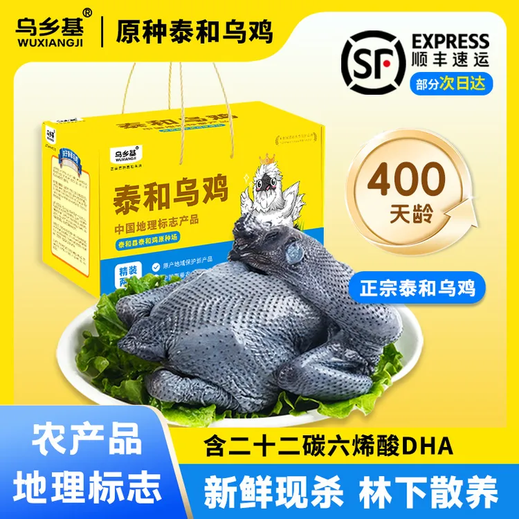 乌乡基正宗原种泰和乌鸡散养土鸡吃谷物新鲜现杀400天老母鸡700g