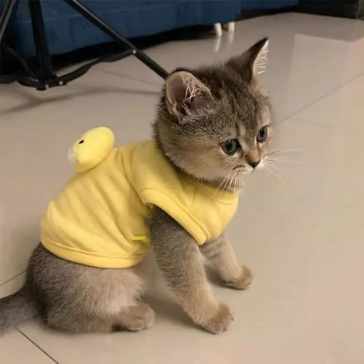 0到3个月小奶猫衣服小猫咪奶狗超小加绒秋冬款防掉毛幼猫保暖背心
