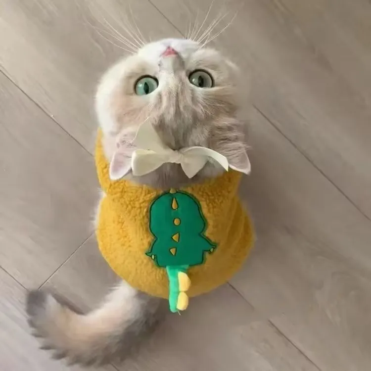 小猫咪衣服秋冬季保暖可牵引背心布偶英短金渐层幼猫宠物狗狗清仓