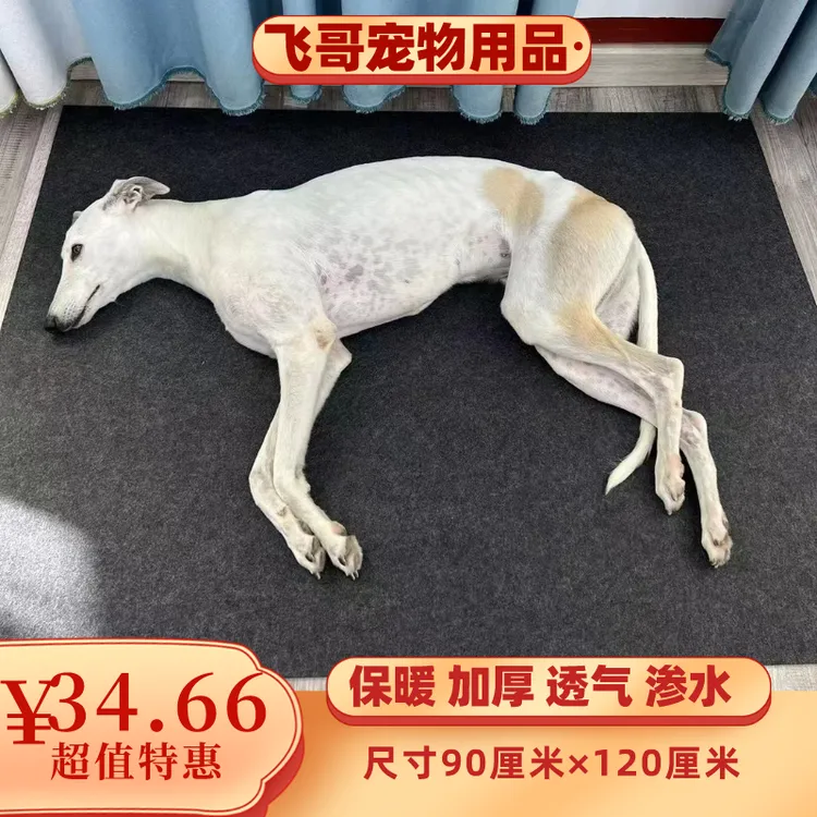 狗垫子加厚保暖防抓耐磨