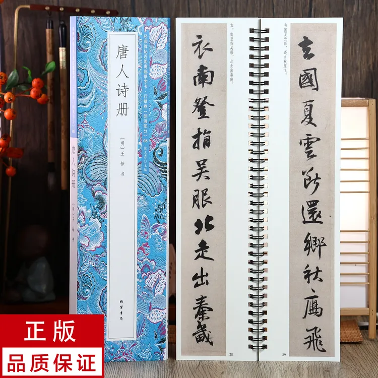 王铎行书 唐人诗册 静文轩近距离临摹字帖