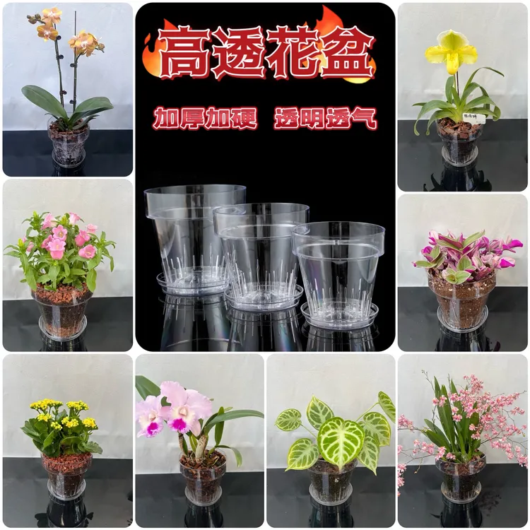 识兰（小婵姐）简约高透明加厚加硬蝴蝶兰花卉绿植透气性透气花盆