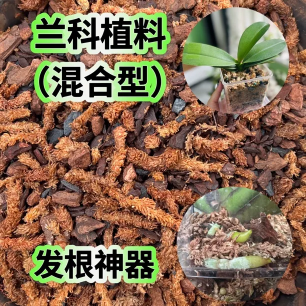 识兰（小婵姐）水苔混合树皮木炭柳树皮发根兰花植料土促生根