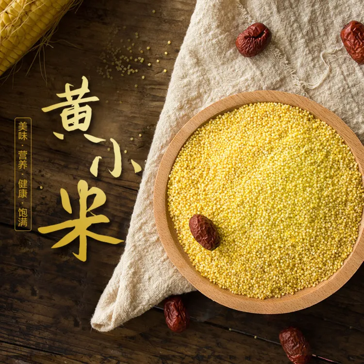 【农家山地黄小米】拓鲜生陕北特产香谷米月子米宝宝米900g～5斤