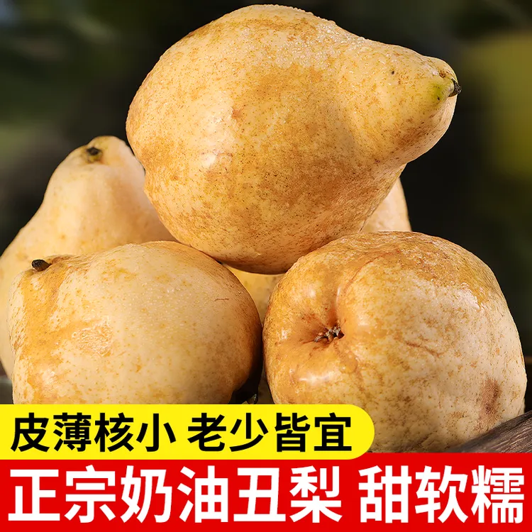 山东奶油丑梨甜糯香甜当季新果放软吃爆甜多汁