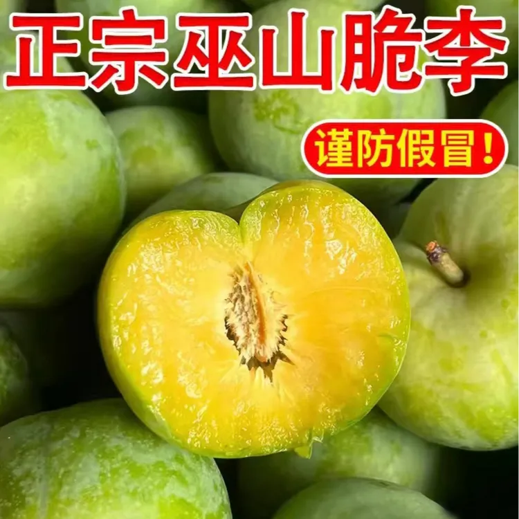 【官方正品】 正宗巫山脆李空运3斤-5斤-10斤包邮现摘脆甜脱骨 