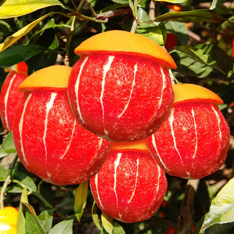 正宗秭归中华红血橙新鲜现摘红心肉橙子应季孕妇水果脐橙3/5/9斤