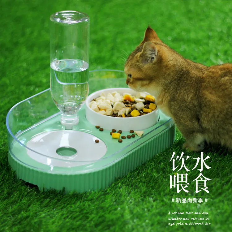 宠物碗塑料狗碗双碗自动饮水防打翻食盆可爱猫饭猫碗猫粮