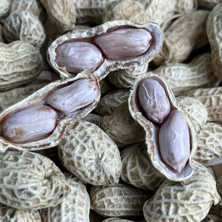 粤北连州特产农家自晒水煮花生儿时味道童年回忆正宗水煮咸干花生