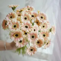 【陌上花开】40支胖丁迷你非洲菊-非洲菊(以直播间展示为主哦~)