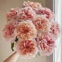 【陌上花开】10支茶雅-单头玫瑰（注意：带包装醒花哦~）