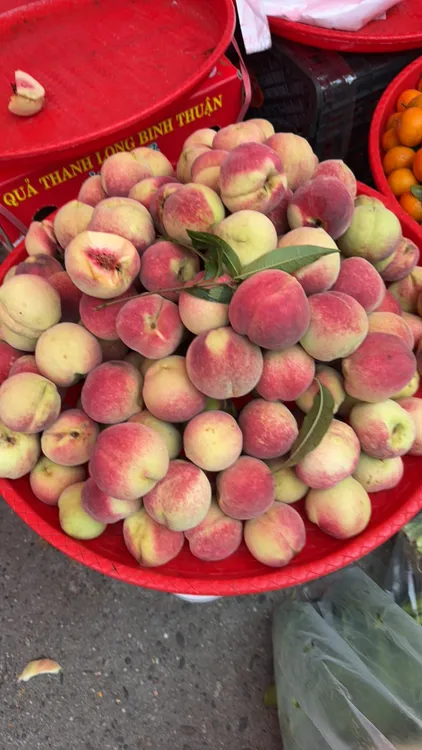 （走夷方现收）农家-老品种桃子（香甜口）