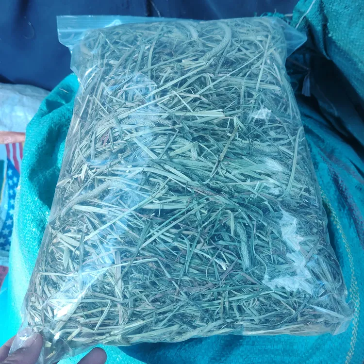 精选晒干提摩西干草宠物专用牧草适合兔子荷兰猪龙猫