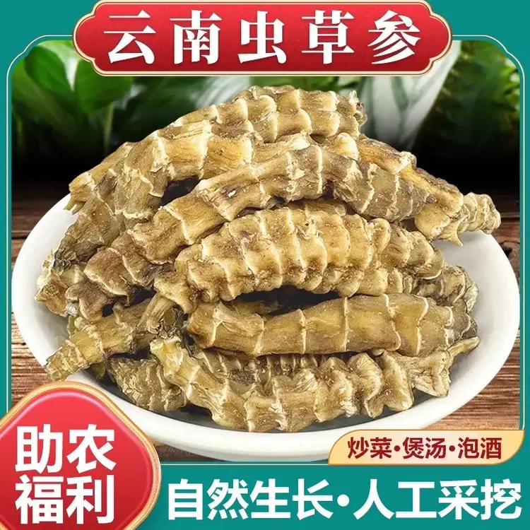 云南虫草参干货地参竹节参草石蚕泡酒煲汤滋补虫草参新货无硫地参