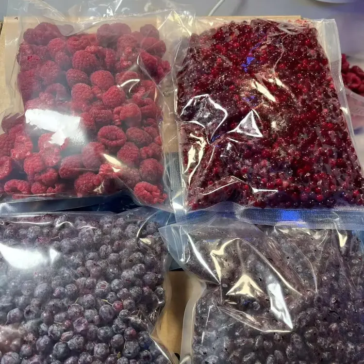 顺丰陆运大兴安岭各种冷冻野生浆果加种植浆果气温高会融化