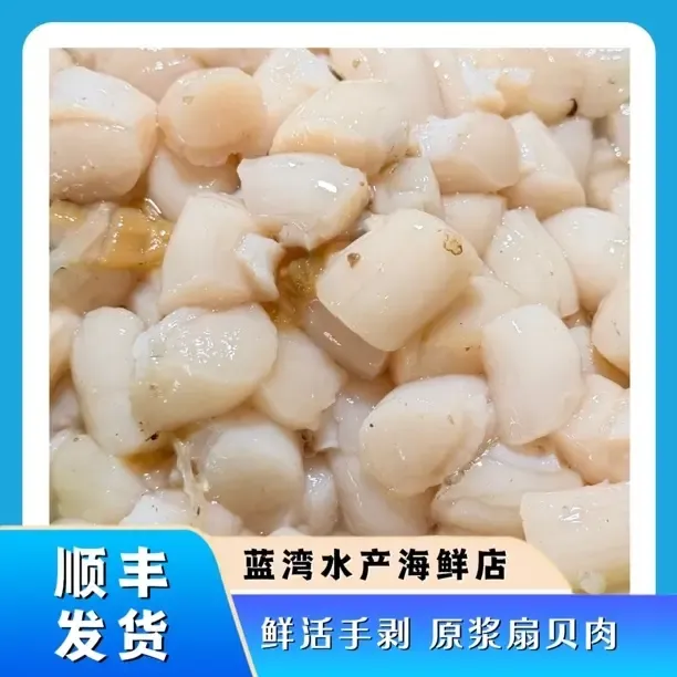 新鲜原浆扇贝丁 手工现扒 冷冻发货 顺丰包邮