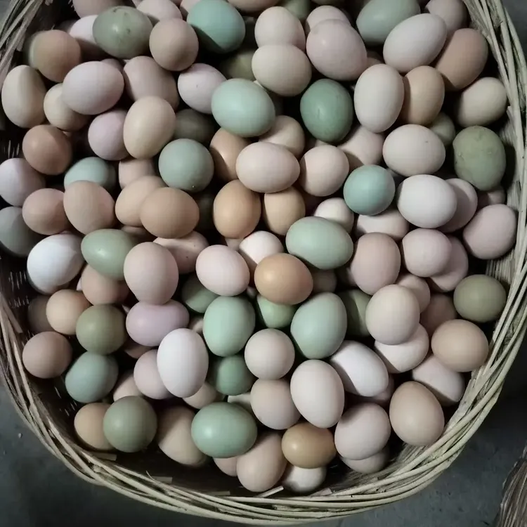 霍邱白凤土鸡蛋，乌鸡蛋60枚装
