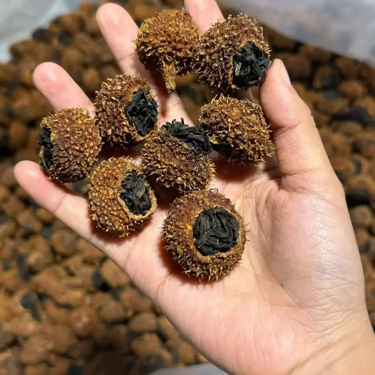 贵州特产刺梨与高山红茶搭配维C爆棚果香浓郁纯手工刺梨红茶