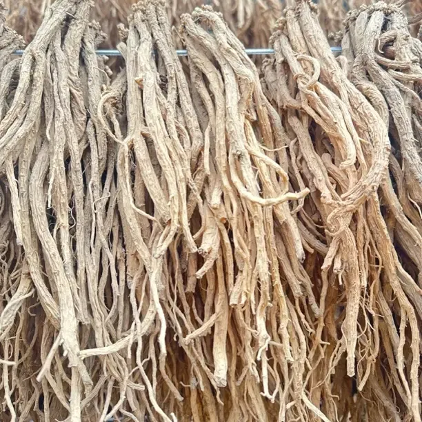 甘肃产地直发党参干货中条可煲汤泡水煮粥滋补养生