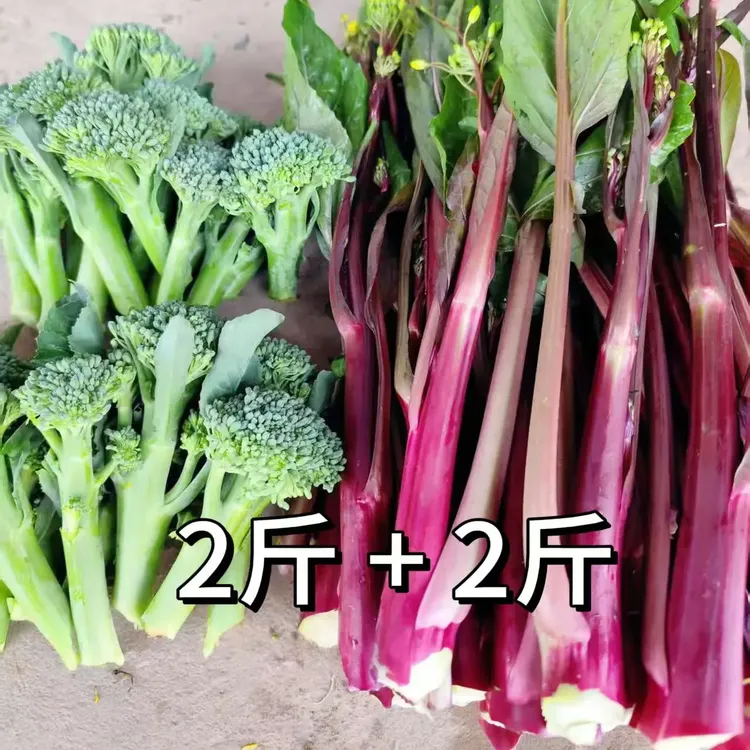 湖北露天时令新鲜红菜苔西兰苔双拼2斤+2斤包邮