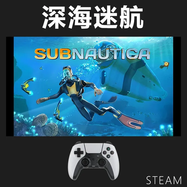 【深海迷航】入库支持游戏支持 PC无线游戏手柄蓝牙有线双人
