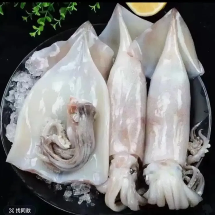 新鲜去皮去内脏大鱿鱼 单条包装免清洗商品图