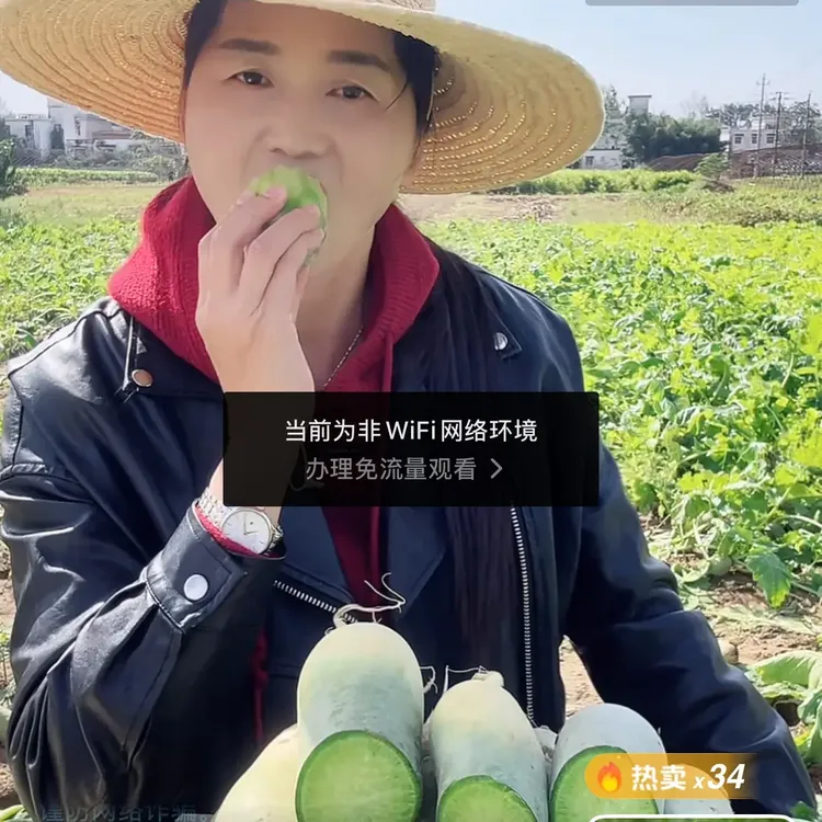 水果萝卜固始萝卜农家种植