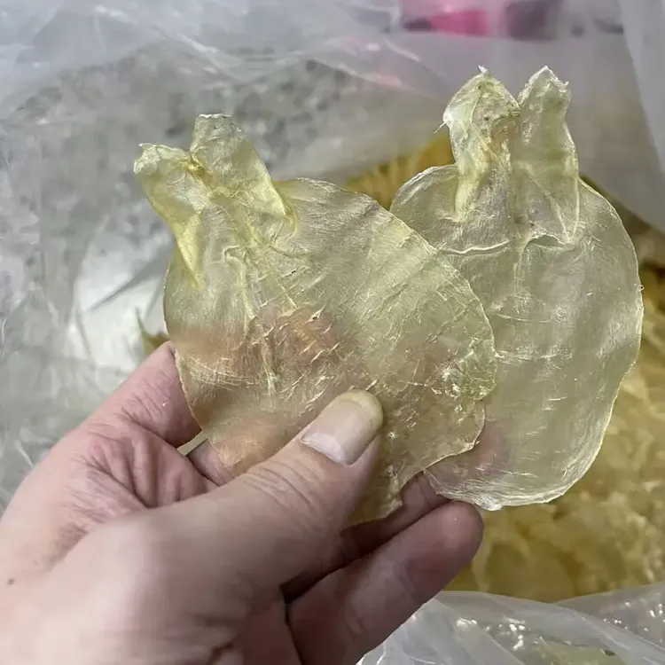 蜘蛛片 150头 甲肚片鱼胶 深海干货滋补煲汤佳品