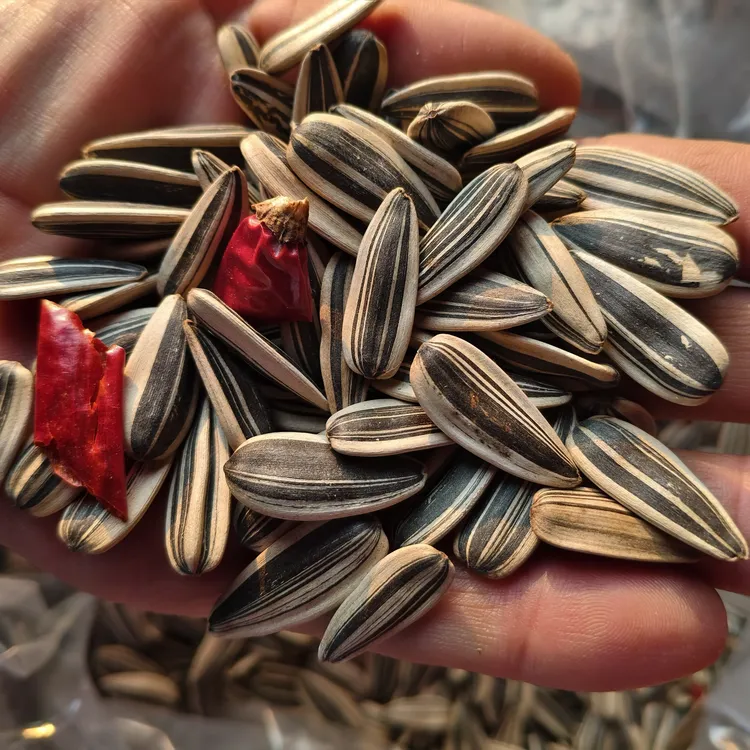 辣椒大颗粒葵瓜子零食