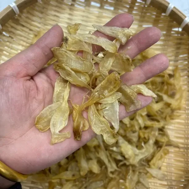 清水豆仁胶鱼肚干货低腥胶质好孕妇月子炖汤滋补品