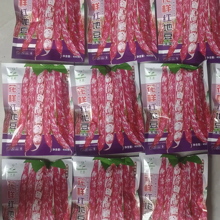 高产无架家雀子原装蔬菜种子可种植豆角