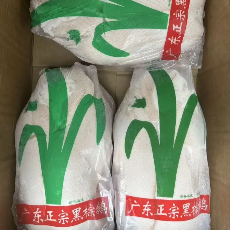 新鲜冷冻整只黑棕鹅适合做烧鹅