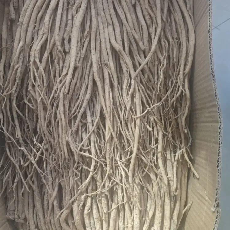 8成干无硫甘肃党参可泡水煲汤滋补养生