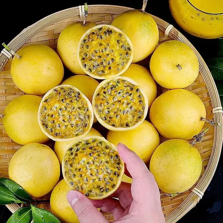【头茬】现摘黄金直发百香果钦蜜9号口感香甜饱满多汁当季水果