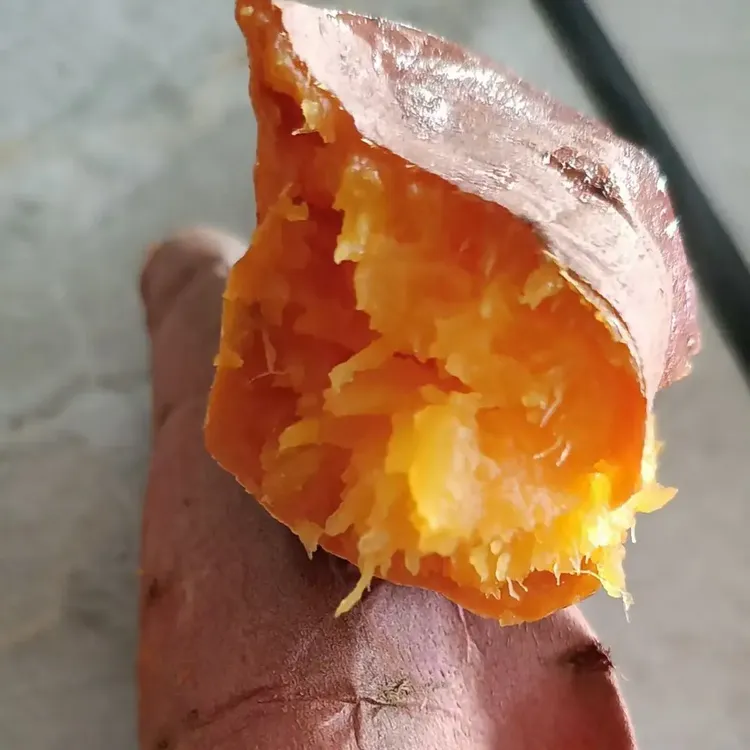 净重5斤沙地糖心烟薯软糯香甜适合烤制的美味烟薯