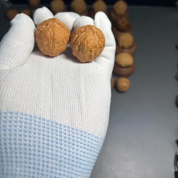 野生文玩核桃迷你尺寸手捻佳品可把玩小核桃尺寸28-32mm随机发