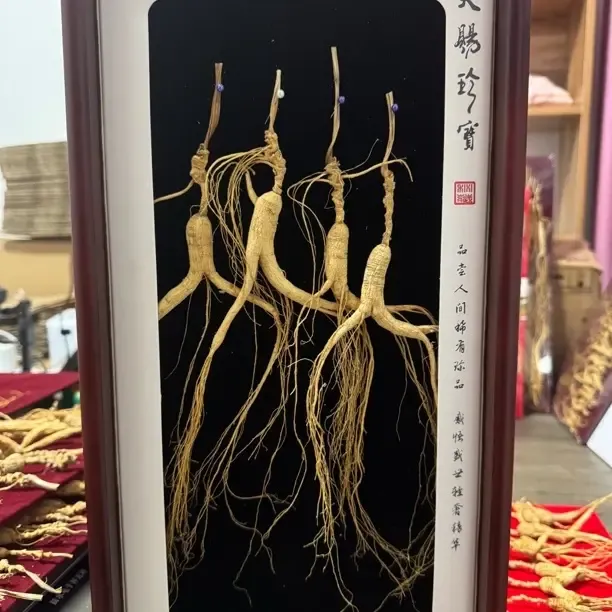 长白山精品礼盒滋补佳品可泡水煲汤泡酒