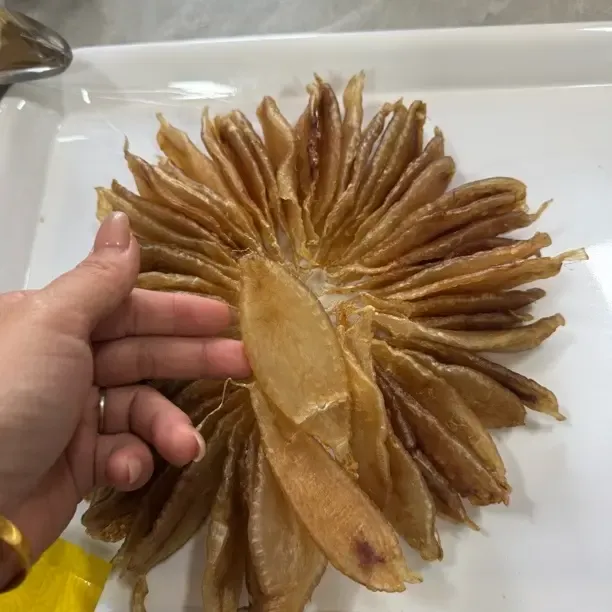 广东潮汕+惠来神泉正金龙