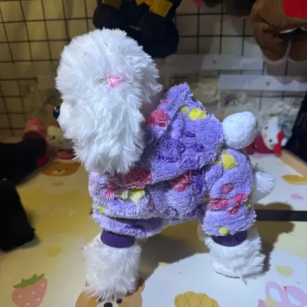 （直播间福利款）狗狗秋冬加绒加厚四腿保暖衣服