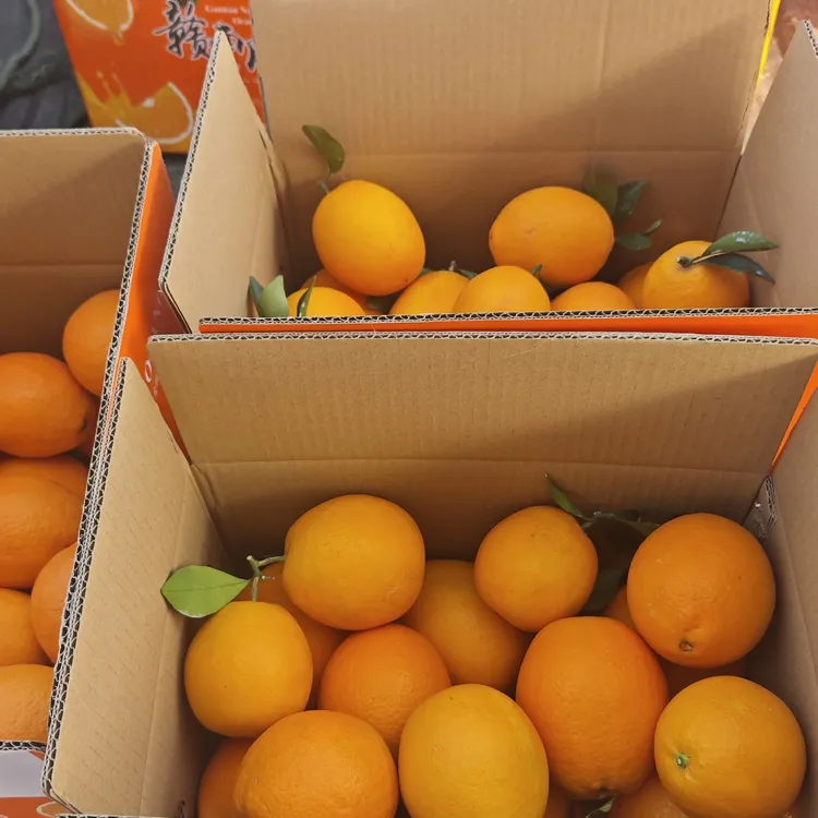 果农直售赣南脐橙新鲜现摘产地直发香甜多汁