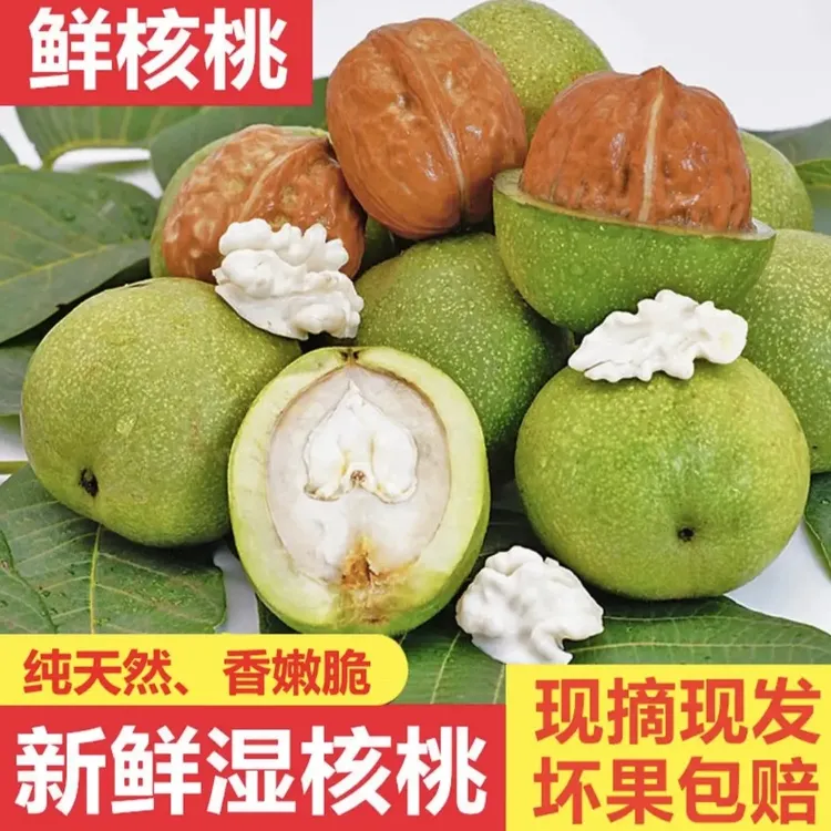 甘肃庆阳青皮核桃当季新鲜生湿核桃新鲜