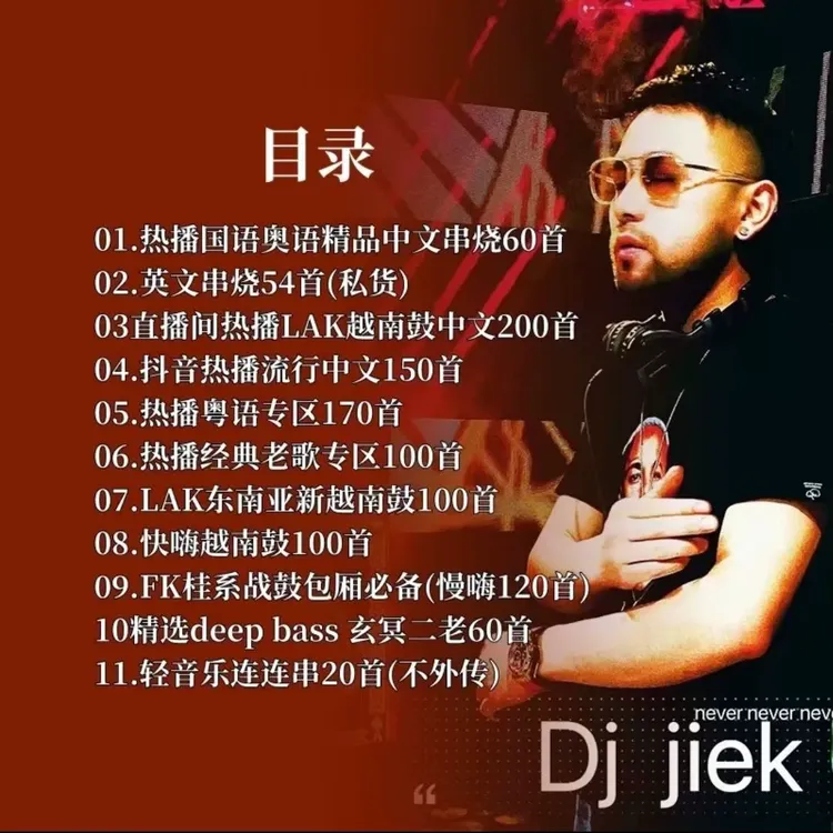 DJ阿杰2025全网抖音热播车载DJ音乐U盘精选国语粤语串烧