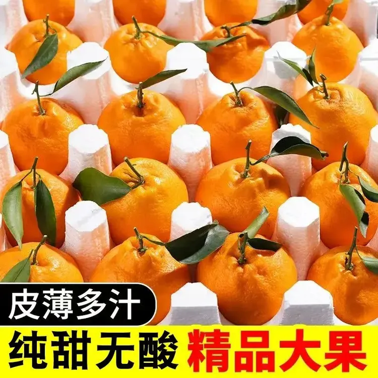 正宗不知火丑橘产地直发新鲜当季水果丑八怪橘子丑柑桔子酸爽可口