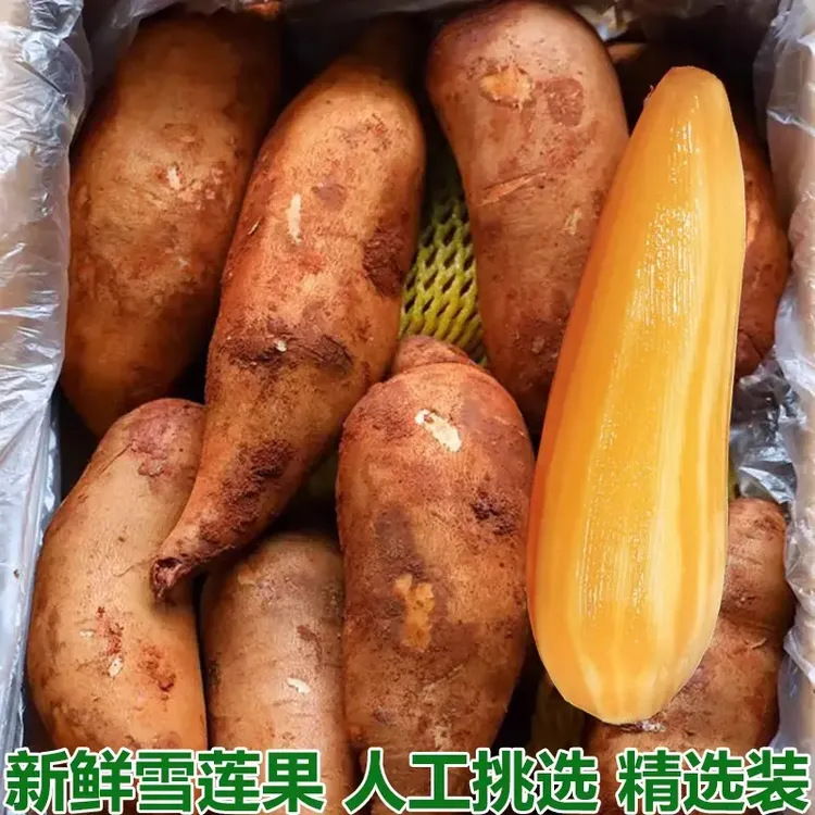 2025新果云南天山雪莲果新鲜水果应季水果孕妇红心雪连果整箱包邮