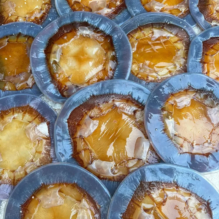 正宗舟山三矾提干海蜇碎皮鲜脆爽口