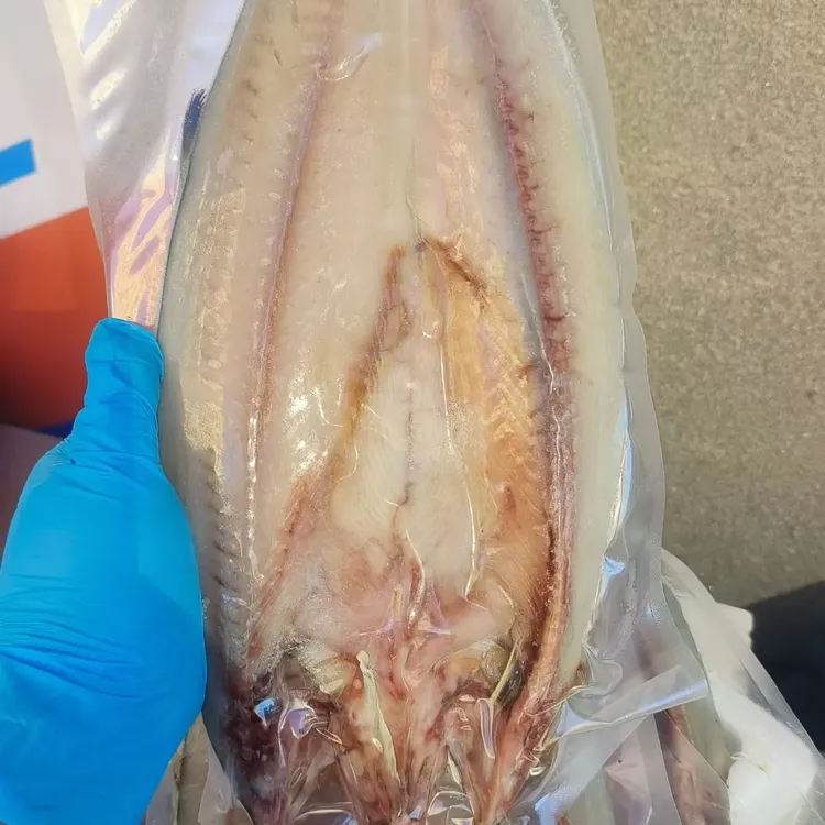 渤海湾本地半干咸刀鲅鱼肉质紧实咸香美味