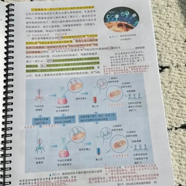 2026版高中生物教材笔记全套（五本）线圈版