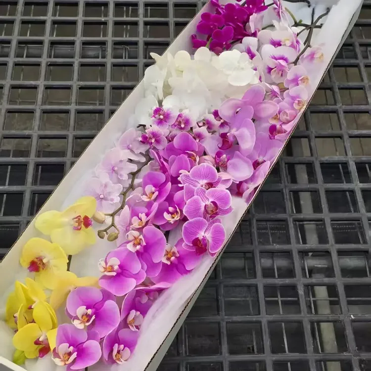 蝴蝶兰混色鲜切花，20支5朵起，品种大小颜色随机混打，货损冻坏不售
