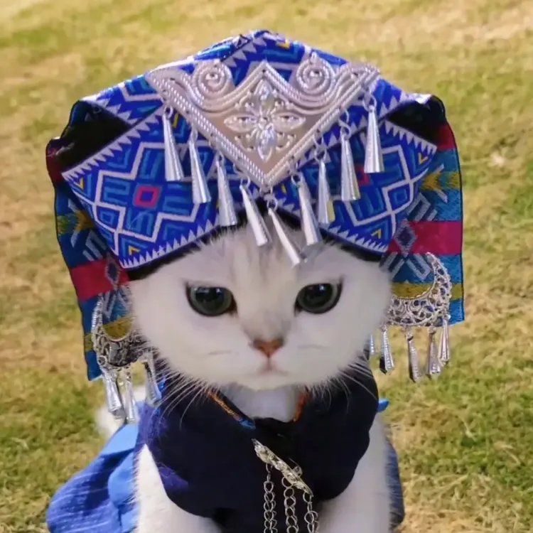 壮族猫咪服饰翠花宠物衣服广西壮族狗狗猫咪服装少数民族瑶族苗族