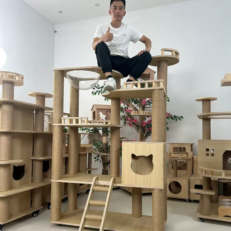 定制专拍，大型猫爬架